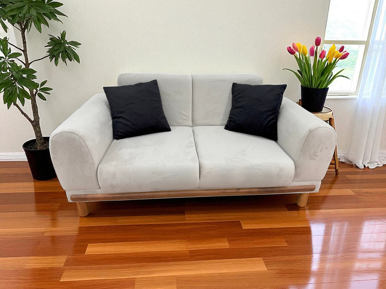 Jasmine Sofa Bed Set