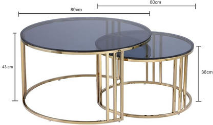 Luna 2-Piece Gold &amp; Smoked Glass Nesting Coffee Table Set